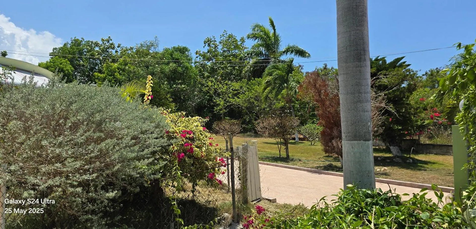 Hébergement de vacances Culture Inn Montego Bay